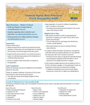 Premier Audit Best Practices Flyer